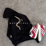 هودی شروین